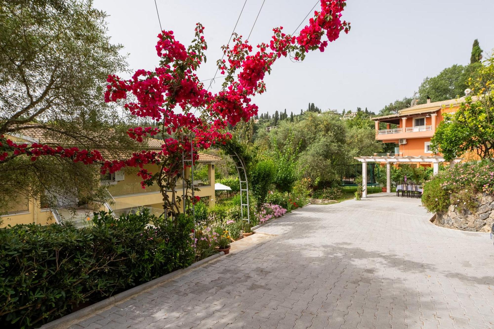 Lazaros Apartments جوفيا المظهر الخارجي الصورة